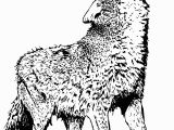 Coloring Pages Of Wolves Wolf Coloring Pages Free Wolf Coloring Pages