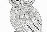 Coloring Pages Owls Owls to Print Coloring Page An Owl Printable Coloring