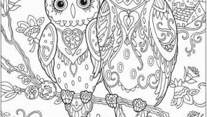 Coloring Pages Owls Printable Owl Coloring Pages Best Free Owl Coloring Pages