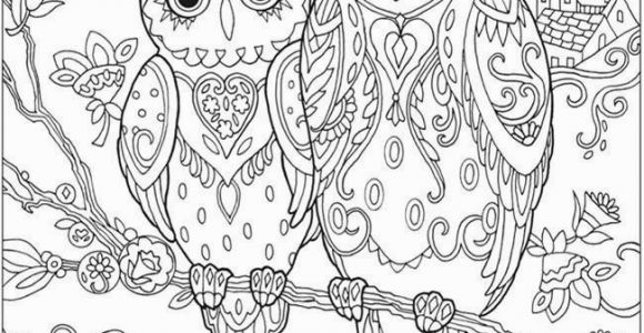 Coloring Pages Owls Printable Owl Coloring Pages Best Free Owl Coloring Pages