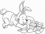 Coloring Pages Printable Winnie the Pooh Winnie the Pooh is Hunting Fro Easter Eggs Coloring Page