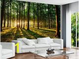 Commercial Wall Murals 46 Best Wall Mural Images
