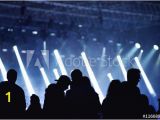 Concert Crowd Wall Mural Stage Lights Concert Scene with Crowd In foreground Wall Mural