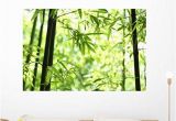 Contemporary Wall Decals Murals Amazon Wallmonkeys Bamboo Wall Mural Peel and Stick