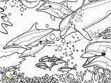 Coral Reef Coloring Pages Dolphin Coloring Pages Coral Reef Fish Dolphin Coloring Pagesfull