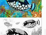 Coral Reef Coloring Pages the Coral Reef Small Colorful Coral Fishes with Coloring Page
