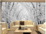 Country Scene Wall Murals 3d Landscape Wallpaper Mural 3d Wallpaper Woods Snow Scene Tv Wall