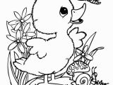 Cute Baby Animal Coloring Pages 20 Coloring Pages Animals Cute