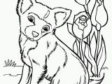 Cute Husky Puppy Coloring Pages Husky Coloring Pages Artworkâ Arts and Crafts Pinterest