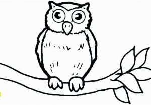 Cute Owl Coloring Pages Coloring Pages Owls Cartoon Owl Coloring Pages Cute Owl Coloring