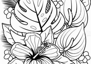 Daisy Flower Garden Journey Coloring Pages Daisy Flower Garden Journey Coloring Pages 1
