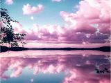 Dark Clouds Wall Mural Download Reflecting Pink Sky Wallpaper Von Goodfellagrl 0d