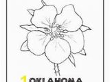 Delaware State Flower Coloring Page Oklahoma State Flower Quilting Pinterest