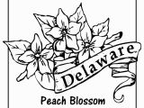 Delaware State Flower Coloring Page State Flower Coloring Pages Delaware State Flower Coloring Page