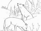 Detailed Wolf Coloring Pages for Adults Wolf Coloring Pages 02