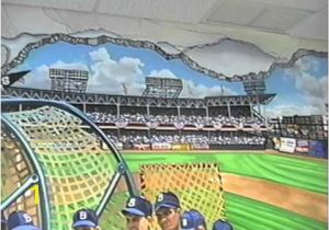 Dodger Stadium Wall Mural Hand Painted Wall Mural Ebbets Baseball Field by Muralist Bonnie