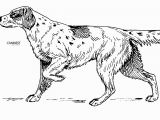 Dog Coloring Pages that Look Real Dog Breed Coloring Pages 2