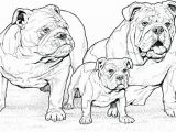 Dog Coloring Pages that Look Real Dog Coloring Pages that Look Real Printable Coloring