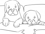 dogs-in-bed-coloring-page-coloring-pages