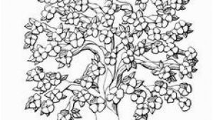 Dogwood Tree Coloring Page 52 Best Trees Coloring Sheets Images