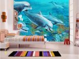 Dolphin Paradise Wall Mural Dolphins Mehr Als 1500 Angebote Fotos Preise â Seite 4