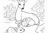 Donkey Face Coloring Page Donkey Coloring Page Elegant Summer Season Coloring Pages Summer