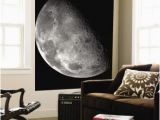 Earth Rising Wall Mural Beautiful Moon Wall Murals Artwork for Sale Posters and