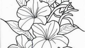 Exotic Flower Coloring Pages 46 Best Flowers and Plants Images On Pinterest
