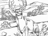 Farm Animal Coloring Pages for Adults Farm Coloring Pages for Adults at Getdrawings