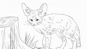 Fennec Fox Coloring Page north African Fennec Fox Coloring Page
