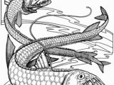 Fish with Scales Coloring Page Viper Fishes Coloring Page More Coloring Pages Pinterest