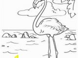 Flamingo Coloring Pages Pdf 14 Best Flamingo Coloring Page Images