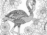 Flamingo Coloring Pages Pdf Birds Coloring Pages for Adults