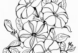 Flower Images Coloring Pages Cool Vases Flower Vase Coloring Page Pages Flowers In A top I 0d