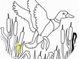 Flying Crow Coloring Page Ducksdrawings Flying Mallard Duck Coloring Page