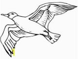Flying Crow Coloring Page Flying Bird Coloring Pages Getcoloringpages Coloring Pages