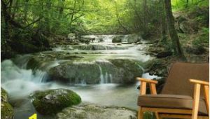 Forest Stream Wall Mural Enchanting forest Waterfall In 2019 Home