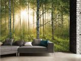 Forest Wall Mural Decal 1 Wall forest Giant Mural Sportpursuit