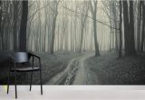 Forest Wall Murals Uk Black and White forest Path Mural