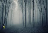 Forest Wall Murals Uk Grey Jungle Wallpaper forest Mist Design