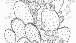 Free Cactus Coloring Pages Printable Coloring Pages for Adults 15 Free Designs