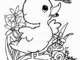 Free Coloring Pages Of Leprechauns Incredible Coloring Pages Bird Pdf Picolour