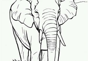 Free Indian Coloring Pages Indian Coloring Pages Best Elephants to Color Elephants Coloring