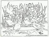 Free Nature Coloring Pages for Adults Image Result for Lakes and Ponds Coloring Page