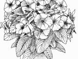 Free Online Coloring Pages for Adults Flowers Flower Coloring Pages for Adults Best Coloring Pages for
