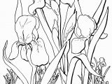 Free Online Coloring Pages for Adults Flowers Free Adult Floral Coloring Page the Graphics Fairy