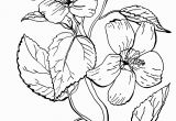 Free Online Coloring Pages for Adults Flowers Free Roses Printable Adult Coloring Page the Graphics Fairy