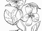 Free Online Coloring Pages for Adults Flowers Free Roses Printable Adult Coloring Page the Graphics Fairy