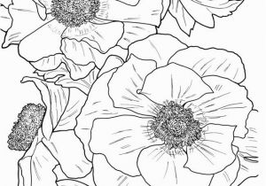 Free Online Coloring Pages for Adults Flowers From In Full Bloom A Close Up Coloring Book by Dove Free