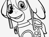 Free Paw Patrol Skye Coloring Pages Paw Patrol Skye Afdruk Paw Patrol Coloring Games 22 Pics